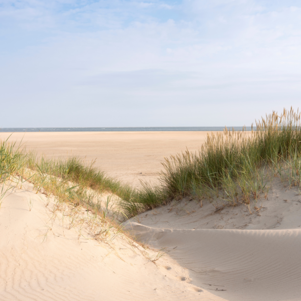 Week-end d’hiver en Baie de Somme : spa, cocooning et nature